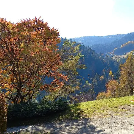 W Jalowcach * Piwniczna-Zdroj