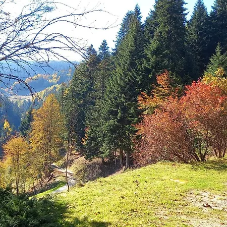 W Jalowcach Сasa de vacaciones Piwniczna-Zdroj