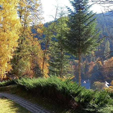 度假居 W Jalowcach *