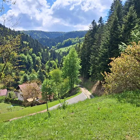 度假居 W Jalowcach