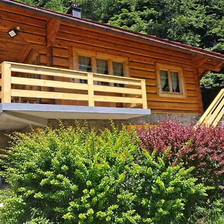 W Jałowcach Piwniczna-Zdroj