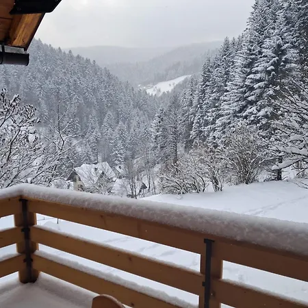 Dom wakacyjny W Jałowcach Piwniczna-Zdroj