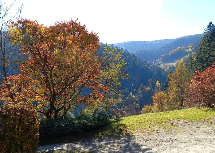 W Jałowcach * Piwniczna-Zdroj