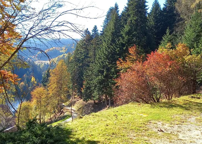 W Jałowcach Dom wakacyjny Piwniczna-Zdroj