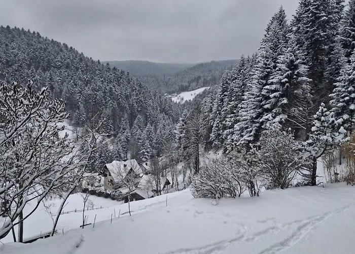 W Jałowcach * Piwniczna-Zdroj